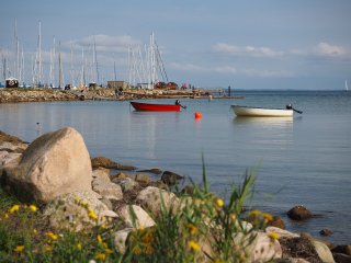 Dänisches Farbenspiel  am Hafen von Rørvig : Dänemark, Odsherred, Rørvig, Seeland, xSeeland