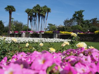 Hier gibt's Farben satt  Terrassengarten : Lago Maggiore, Park, Villa Taranto, xVillaTaranto