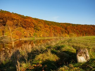 Herbstwald  an der Fulda, südlich von Kassel : Fulda, Fuldabrück, Herbst, Wald, xHerbst