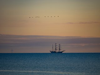 Dreimaster  vor Anker bei Sonnenaufgang vor dem Prerower Strand (etwas stört hier die "historische Kulisse") : Meer, Prerow, Segelschiff, Sonnenaufgang, Vogel, Windrad, xSommer