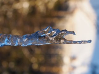 Einhörniger Eisbeißer  angetroffen im Sauerland, Nähe Winterberg : Ohlenbach, oly-forum, xDieTops, xWinter