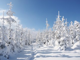 Winterwanderweg  mit traumhafter Kulisse : Ohlenbach, xWinter
